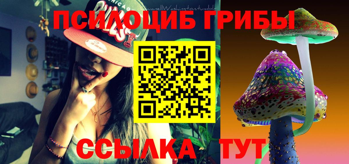 Краснознаменск  Псилоцибиновые грибы Magic Shrooms  Галлюциногенные грибы Magic Shrooms  Вход с VPN 